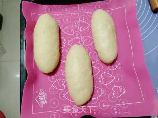 Whole Wheat Bread recipe