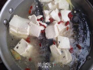 Milky White Crucian Fish Tofu Soup recipe