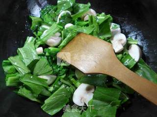 Boiled Egg Dumplings with Mushroom and Rape recipe