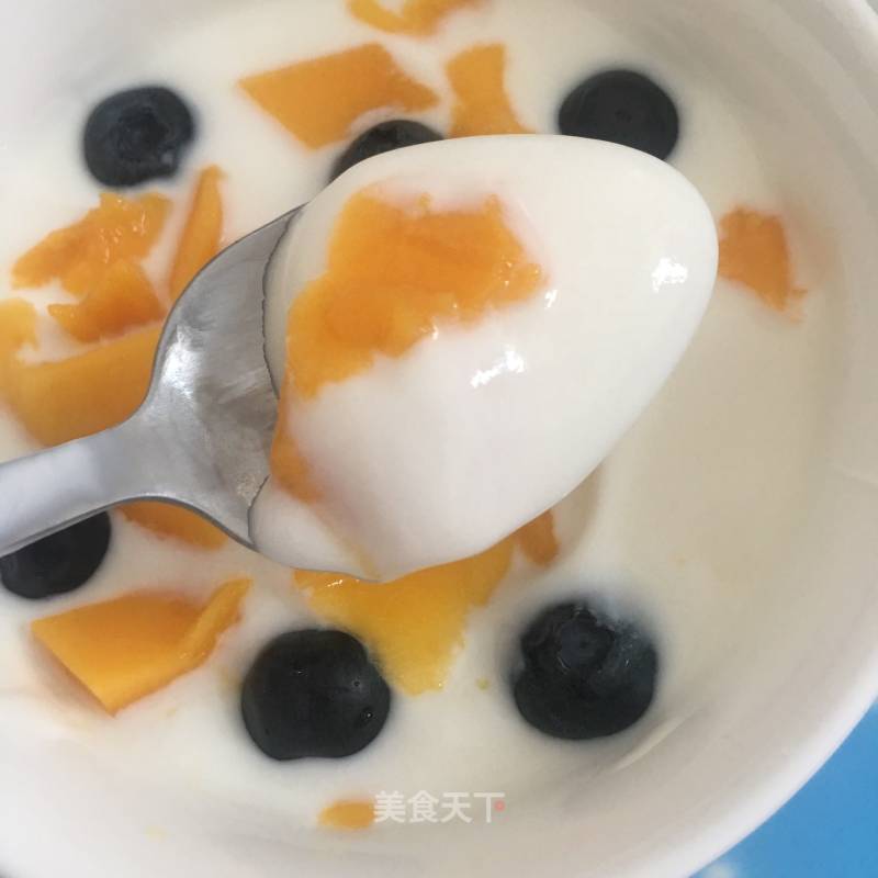 0⃣️failed Super-fine and Silky Homemade Handmade Yogurt recipe