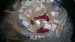 Sea Catfish Stewed Tofu recipe