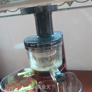 Yierpu Juice Machine Trial-bitter Gourd Milk Juice-weight Loss recipe