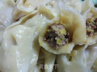 Donkey Meat and Cabbage Dumplings recipe