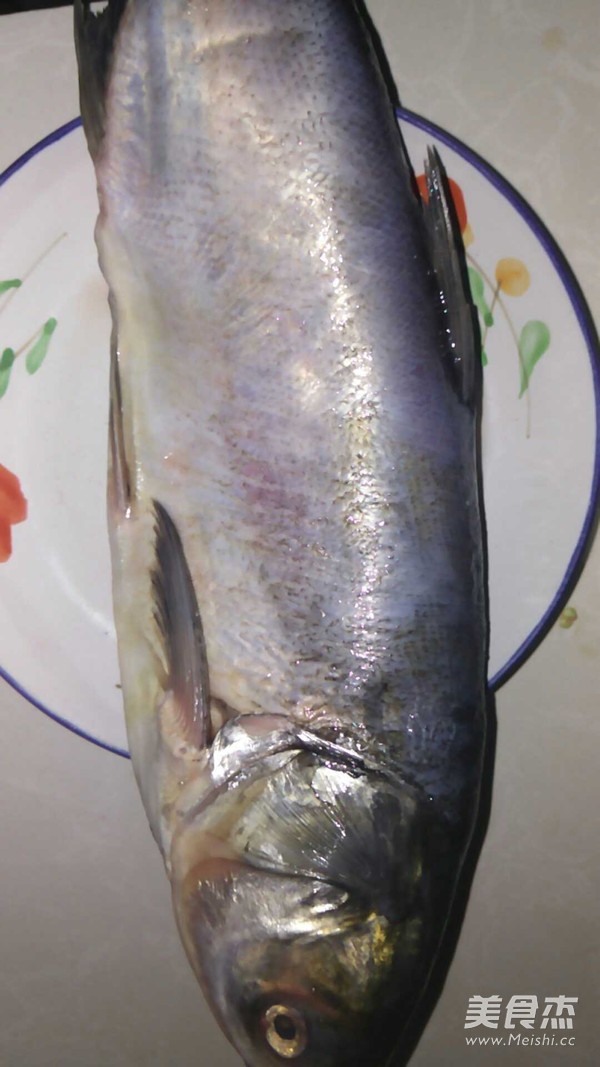 Glutinous Fish, Silver Carp or Other recipe