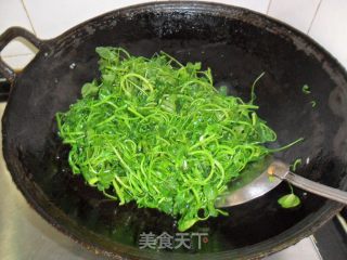 Stir Fried Grass Head recipe