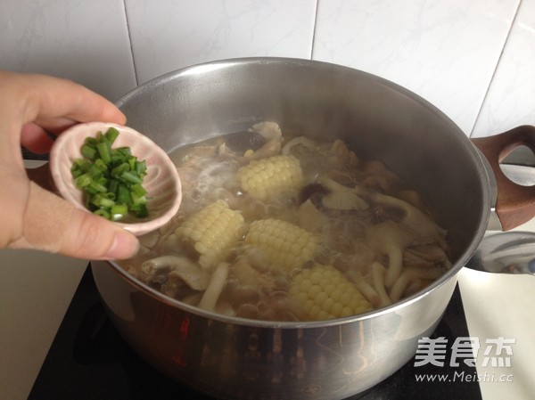 Hericium and Corn Chicken Soup recipe