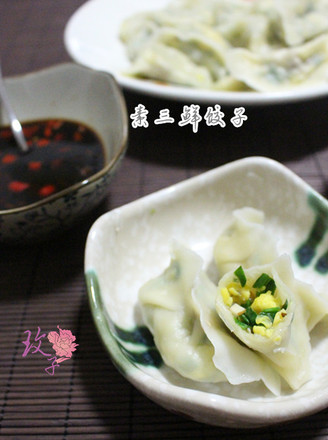 Vegetarian Sanxian Dumplings