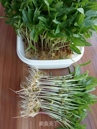 Hot Noodle Soup with Mung Bean Sprouts and Vegetables recipe
